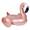 Rose Gold Flamingo Float (Small)