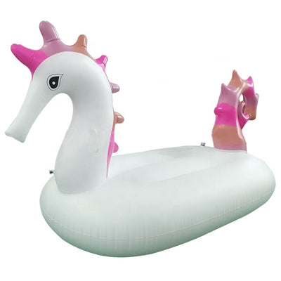 Seahorse Float